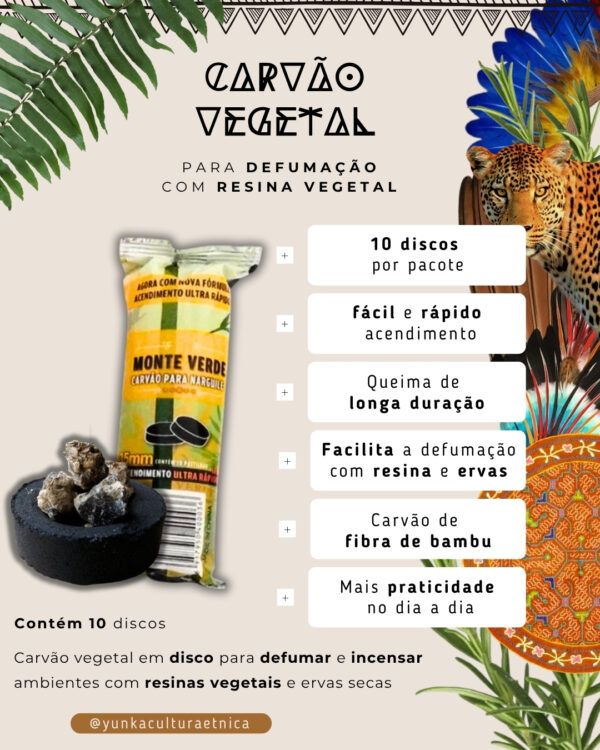 Carvão Vegetal em Discos - Imagem 5