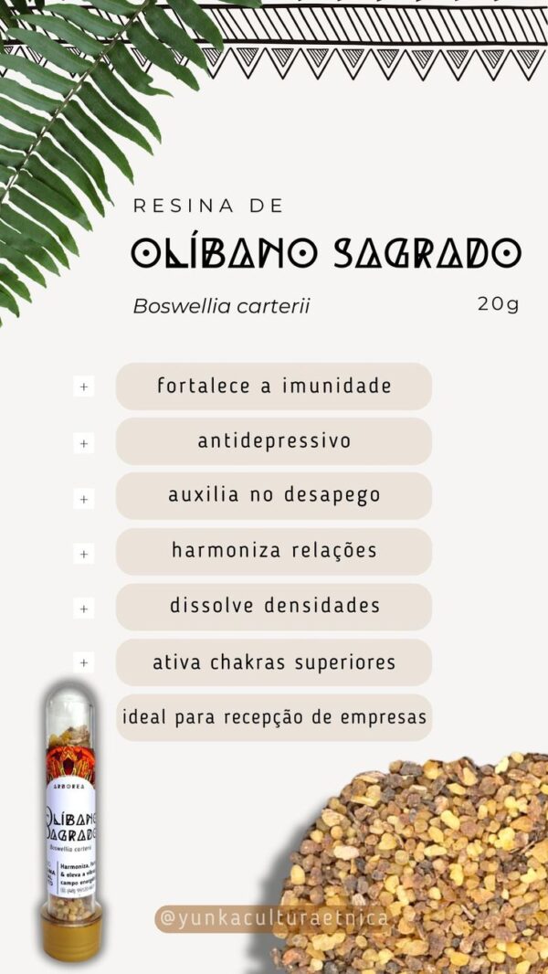 Resina de Olíbano - Imagem 6