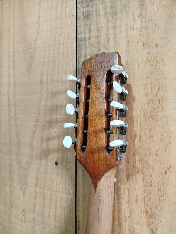 Viola Parlor Entalhada - Imagem 5