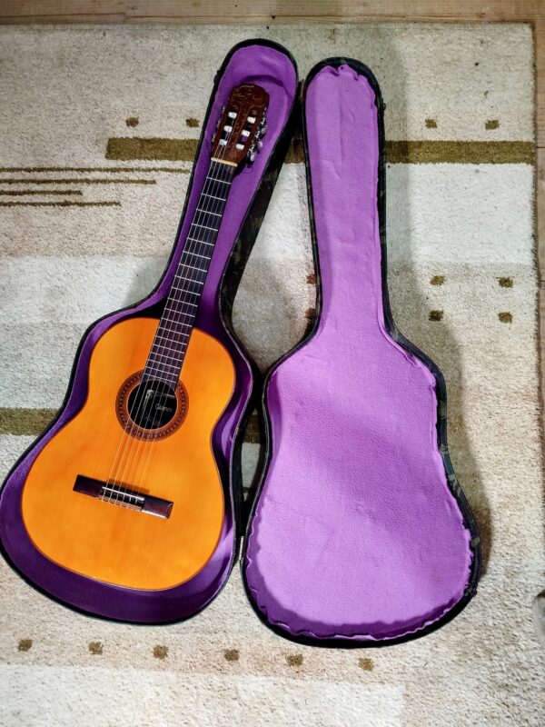 Violão Giannini - Imagem 6