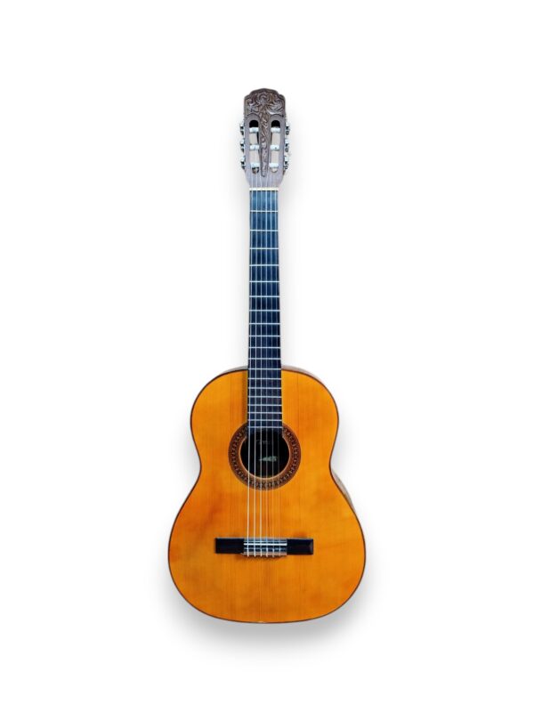 Violão Giannini