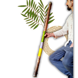 Didgeridoo Bitonal
