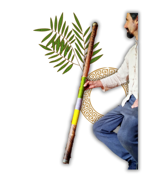 Didgeridoo Bitonal