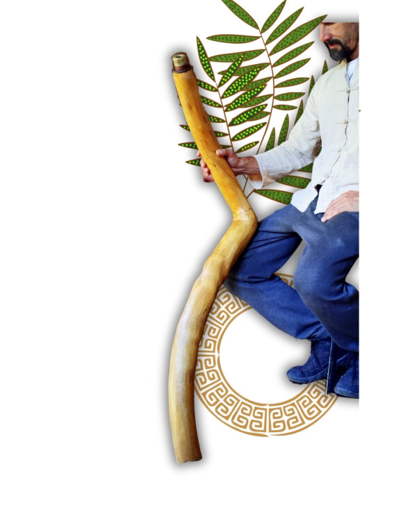 Didgeridoo de Cedro em L