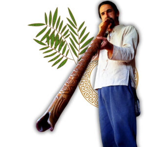 Didgeridoo Tubarão