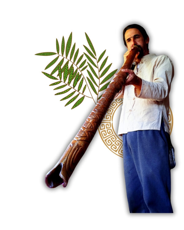 Didgeridoo Tubarão