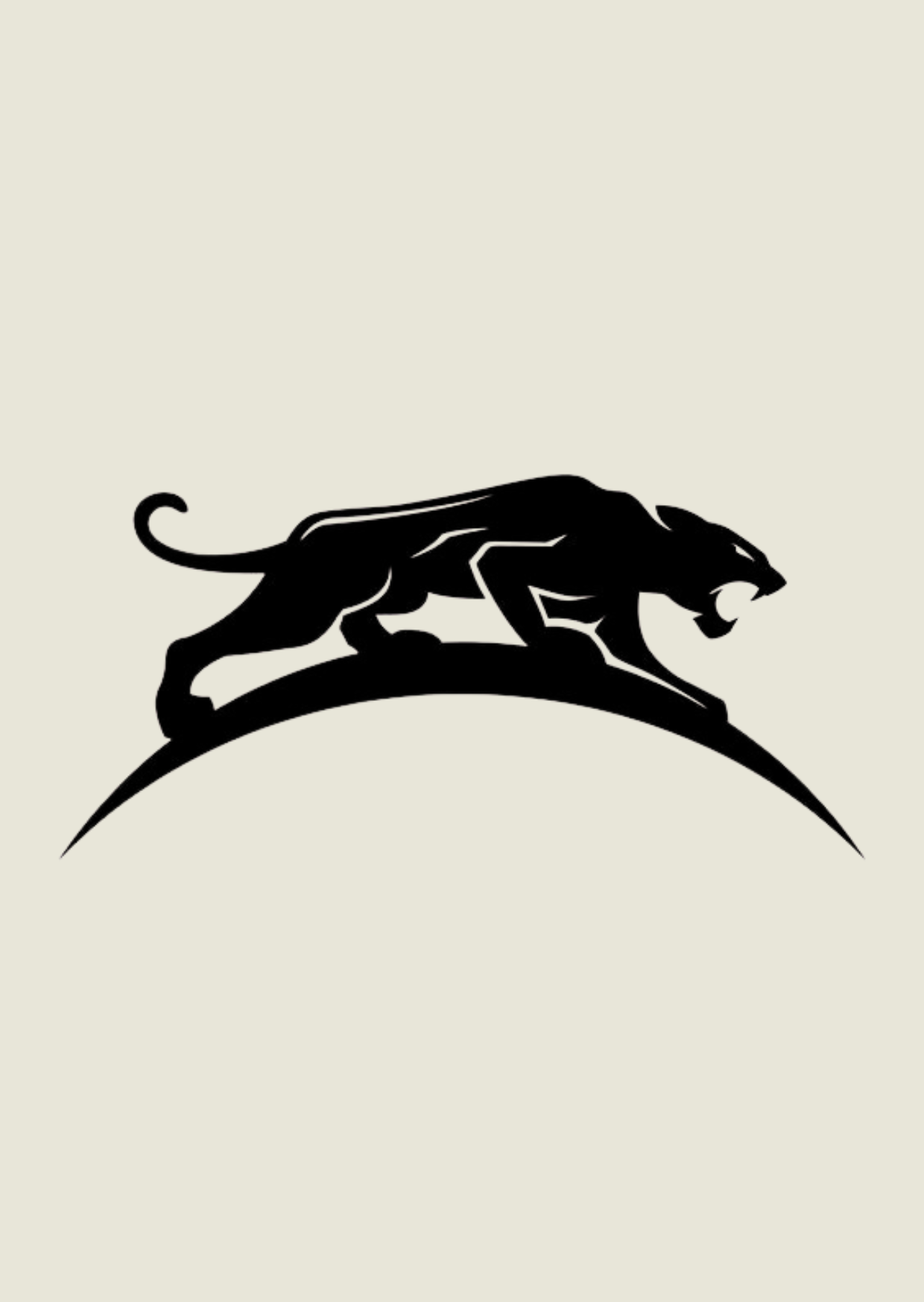 grafismos site JAGUAR