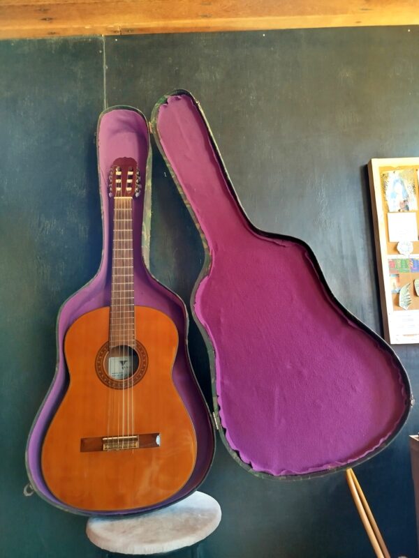 Kit | Violão Eagle Dh69 + Case Camuflada - Imagem 3