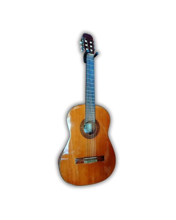 Violao Eagle Dh69 | Classico Nylon Mogno Pro Series