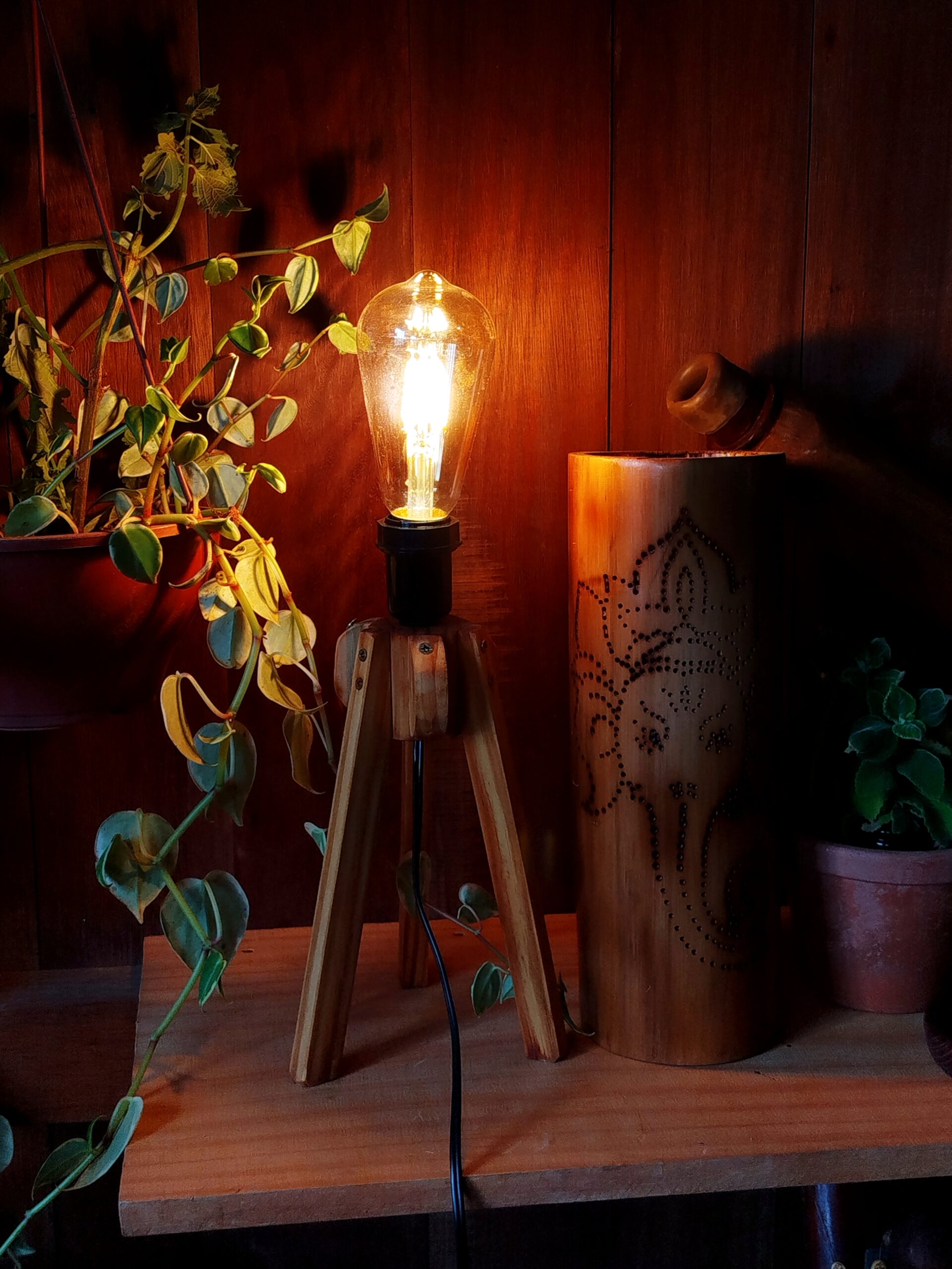 Luminária de Bambu Gigante | Temática - Imagem 5