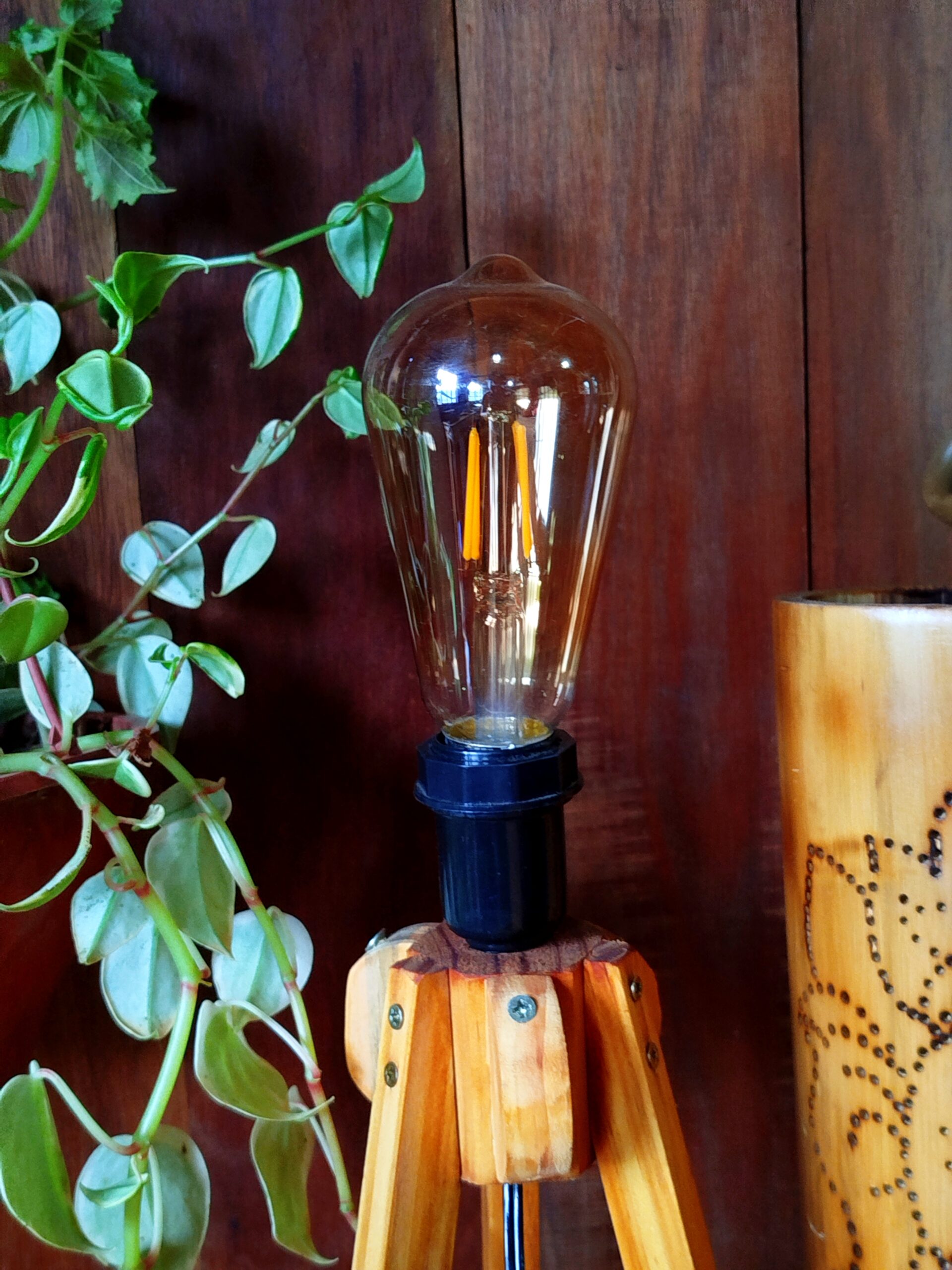 Luminária de Bambu Gigante | Temática - Imagem 6