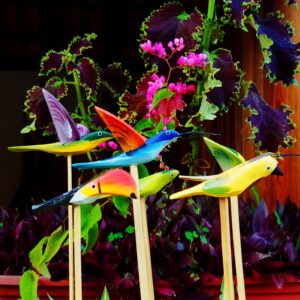 Beija-Flor e Pássaros para Decoração do Jardim