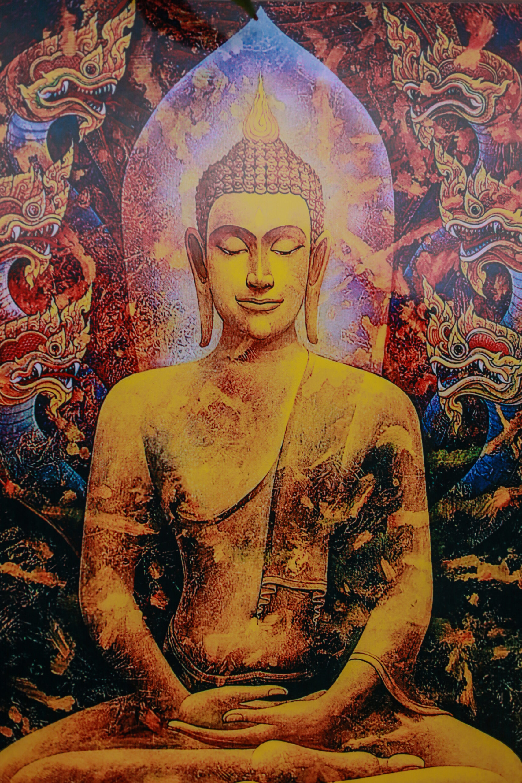 Quadro Buda Dhyana - Imagem 2