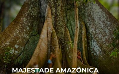 BRICS: Samaúma, árvore amazônica ‘sagrada’ é escolhida como novo símbolo do grupo