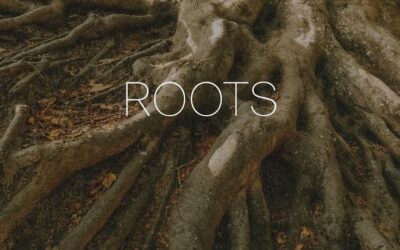 Por que nos voltamos às plantas, hoje?